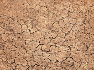 The ground has cracks in the top view for the background