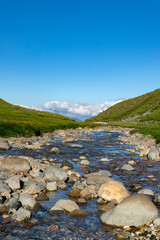 Fototapeta premium 北海道 黒岳山頂周辺の夏の風景