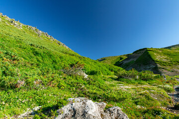 北海道　黒岳山頂周辺の夏の風景
