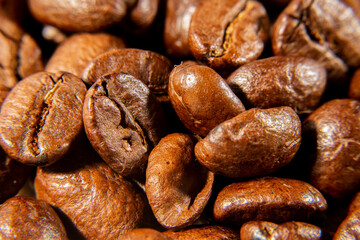 granos de cafe 