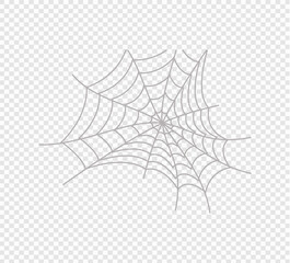 Creepy spider web over transparent background.
