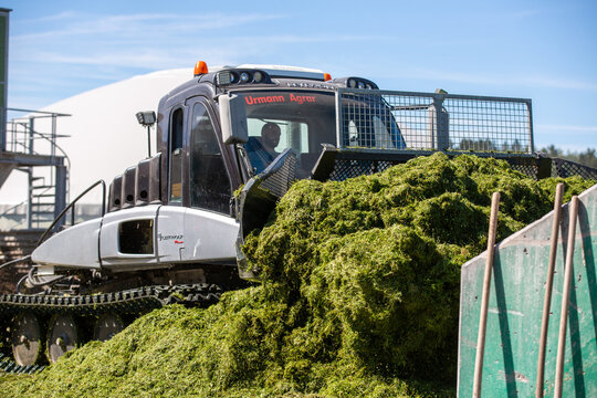 BAVARIA / GERMANY - AUGUST 20, 2020: Prinoth Leitwolf snowcat prepares the silage for the biogas plant