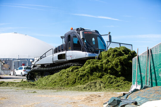 BAVARIA / GERMANY - AUGUST 20, 2020: Prinoth Leitwolf snowcat prepares the silage for the biogas plant