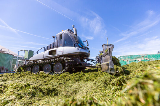 BAVARIA / GERMANY - AUGUST 20, 2020: Prinoth Leitwolf snowcat prepares the silage for the biogas plant