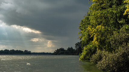 Biesbosch 1