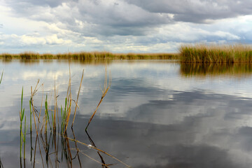 Landschaft am Neusiedler See bei Illmitz im Nationalpark Neusiedler See, Burgenland, Österreich