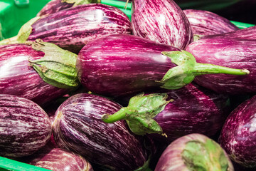 several fresh ripe Eggplant purple from market