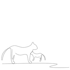 Cat animal on white background. Vector illustration