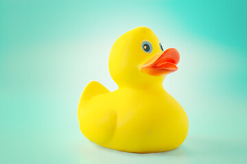Yellow rubber duck on blue background