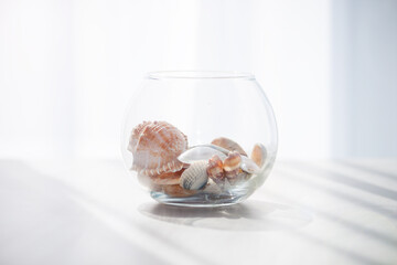 Sea shells in the glass jar on the white background with sun light. Summer, holidays, vacation memories concept.