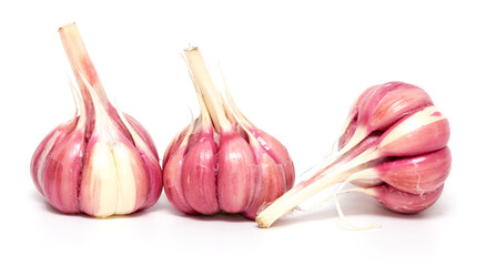 Garlic isolated on white background.