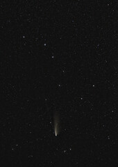 Comet Neowise with Big Dipper in frame