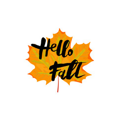 Hello Fall banner with maple autumn leaf. Handwritten Hello Fall. Place for text. Vector illustration.
