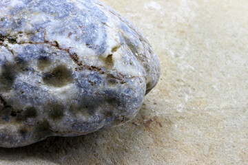 close-up of a rock detail 