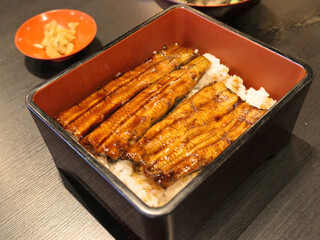 Unagi don Japanese grilled eel bowl with rice