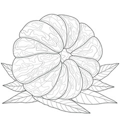 Mandarin fruit.Coloring book antistress for children and adults. Illustration isolated on white background.Zen-tangle style.