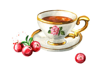 Cup of tea with Cranberry. Hand drawn watercolor illustration isolated on white background