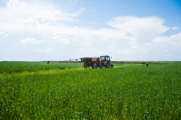 Tractor spraying wheat field with sprayer