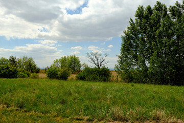 Obraz premium Die Zitzmannsdorfer Wiesen bei Podersdorf am See im Nationalpark Neusiedler See, Burgenland, Österreich