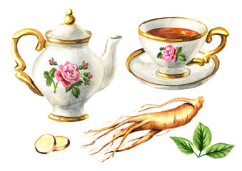 Teapot, cup of tea and Ginseng set. Hand drawn watercolor illustration isolated on white background