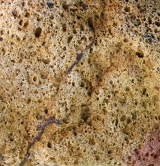 close-up of a rock detail 