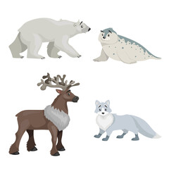 Cartoon polar animals set. Vector collection of polar bear, seal, reindeer and polar white fox. Best for education. Vector illustrations isolated on white background.