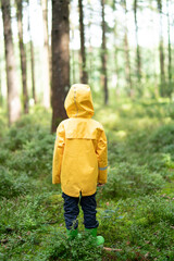 Litte boy plays in the woods with a yellow jacket