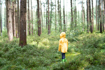 Litte boy plays in the woods with a yellow jacket