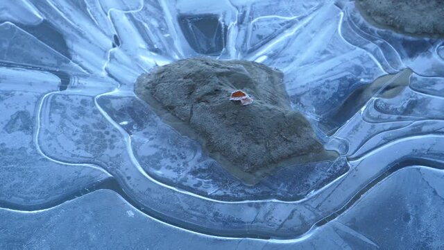 Frost and Ice Lenga Forest Trekking Patagonia Fall Colours El Chalten Single Leaf in Ice.