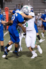 Great action photos of football players making amazing plays during a football game
