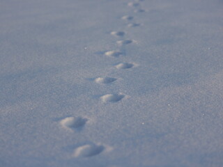 Spuren im Schnee