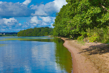 River, lake bank, sea shore or coast with tree branches, sand and blue sky with clouds in sunny summer or spring day