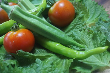 複数の夏野菜