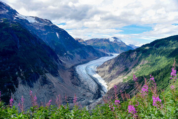 Salmon Glacier