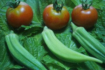 Fototapeta na wymiar 複数の夏野菜