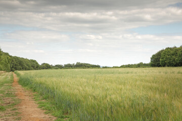 countryside of oxfordshire england