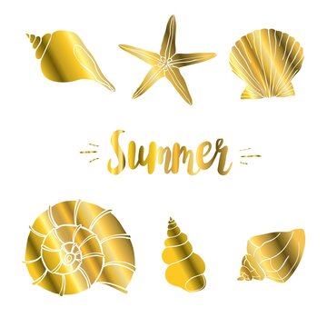 Gold sea shell vector illustration isolated on dark blue background with golden glitter confetti texture. Pearl scallop, oceanic or marine mollusk cockleshell graphic design. Jewelry or holiday symbol