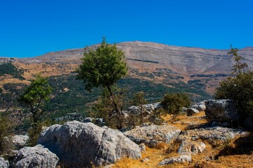 rock formations in the Lebanon mountains in summer
