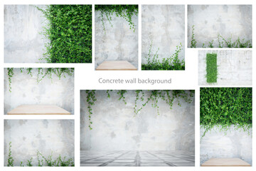 Concrete wall set with ornamental plants or ivy or garden tree with clipping path.