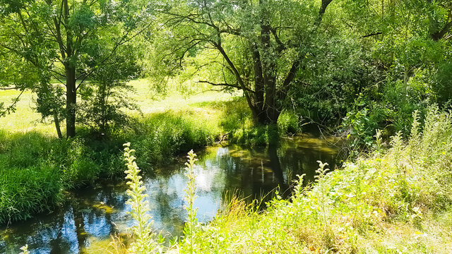 Flu&szlig; Aue Tauber Furt Bach Natur &uuml;ppig sattes gr&uuml;n im Sonnenschein seichtes Wasser Forellen Angeln Flu&szlig;aue &Uuml;berschwemmung Gebiet Wildnis naturnah Umwelt- Nachhaltig- &Ouml;ko- Bio- Trinkwasser Schutz