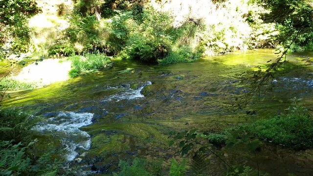 RZEKA W G&Oacute;RACH. CZESKA SZWAJCARIA, WĄW&Oacute;Z EDMUNDA, REPUBLIKA CZESKA 
