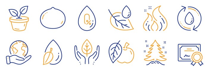 Set of Nature icons, such as Apple, Christmas tree. Certificate, save planet. Fire energy, Leaves, No alcohol. Fair trade, Water drop, Refill water. Leaf dew, Macadamia nut line icons. Vector