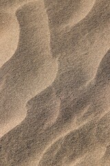 sand texture background 06