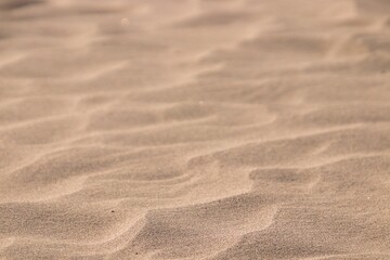 Fototapeta na wymiar sand texture background 09
