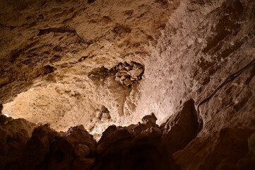 limestone cave system geology nature reserve