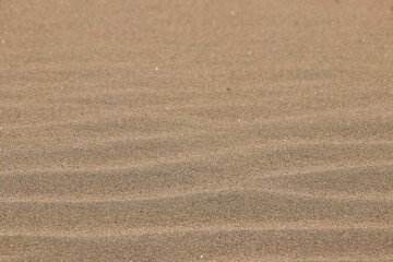 Fototapeta na wymiar sand texture background 12