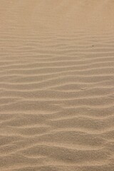 Fototapeta na wymiar sand texture background 14