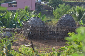 Obraz premium goats house or hut in the farm