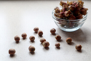 Hazelnuts in a glass container on a gray background with scattered nuts, close-up, side view