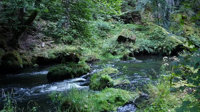 RZEKA W G&Oacute;RACH. CZESKA SZWAJCARIA, WĄW&Oacute;Z EDMUNDA, REPUBLIKA CZESKA 